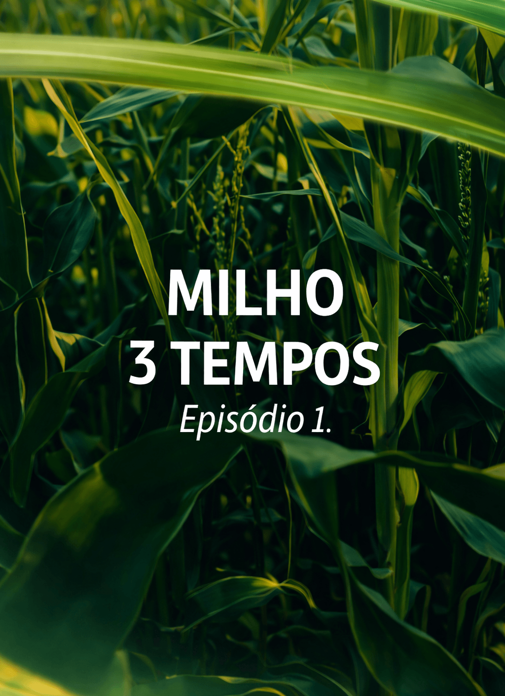 Milho 3 Tempos - Episódio 1