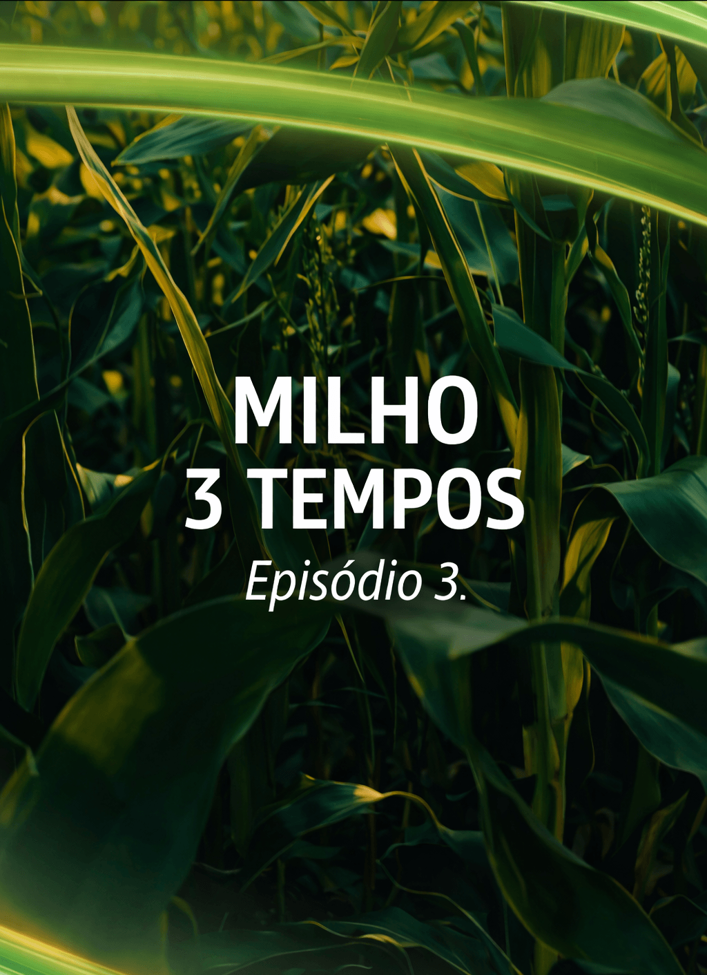 Milho 3 Tempos - Episódio 3